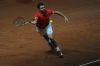 Davis_Cup_Friburg_10_Fev_2012_0088.jpg