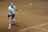 Davis_Cup_Friburg_10_Fev_2012_0103.jpg