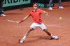 Davis_Cup_Friburg_10_Fev_2012_0550.jpg