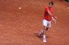 Davis_Cup_Friburg_10_Fev_2012_0685.jpg