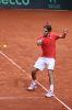 Davis_Cup_Friburg_10_Fev_2012_0817.jpg