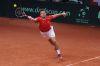 Davis_Cup_Friburg_11_Fev_2012_0479.jpg