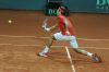 Davis_Cup_Friburg_11_Fev_2012_0688.jpg