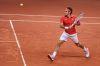 Davis_Cup_Friburg_11_Fev_2012_0703.jpg