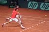 Davis_Cup_Friburg_11_Fev_2012_0762.jpg