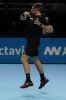 ATP_Finale_Londre_2013_0233.jpg