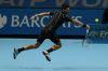 ATP_Finale_Londre_2013_1720.jpg