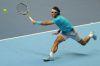 ATP_Finale_Londre_2013_2616.jpg