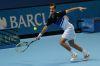 ATP_Finale_Londre_2013_3732.jpg